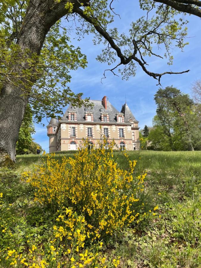 Chateau De Praslins Nogent-sur-Vernisson Exterior photo